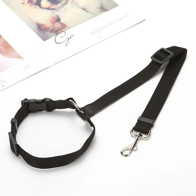 Cinturón de Seguridad 2 en 1 para Mascotas Animanimal