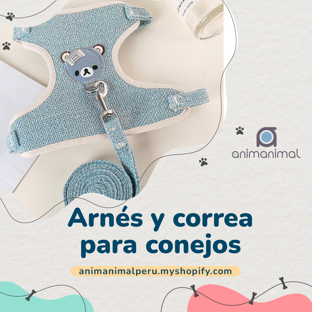 Arnés y correa para conejos, accesorios para mascotas, chaleco, correas para conejos para caminar al aire libre