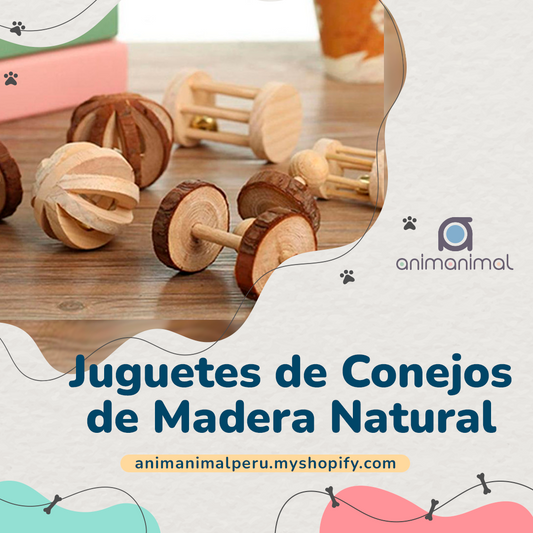 Juguetes Lindos de Conejos de Madera Natural de Pino