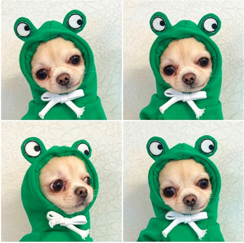 Disfraz de Sapito para mascotas Gatos y Perros - Sudadera con Capucha Rana Sapo