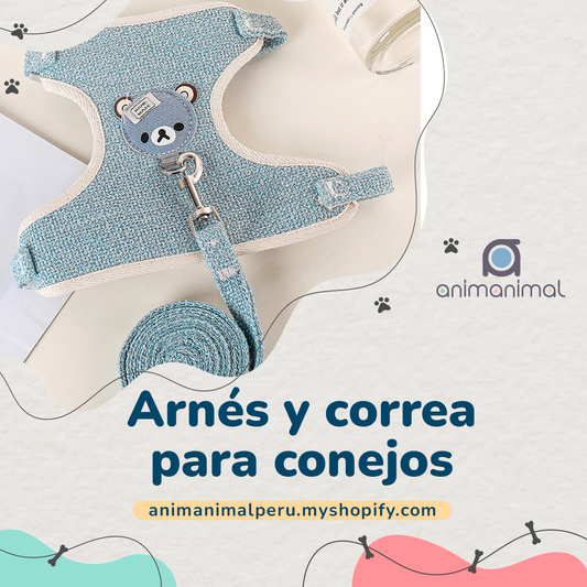 Arnés y correa para conejos, accesorios para mascotas, chaleco, correas para conejos para caminar al aire libre