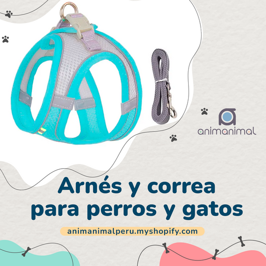 Arnés tipo chaleco y correa para perros y gatos